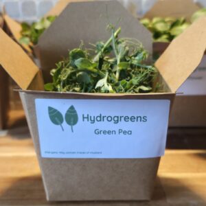 Green Pea