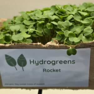 Rocket